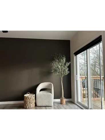 Clean accent wall with olive tree in a completed 705 Painters project